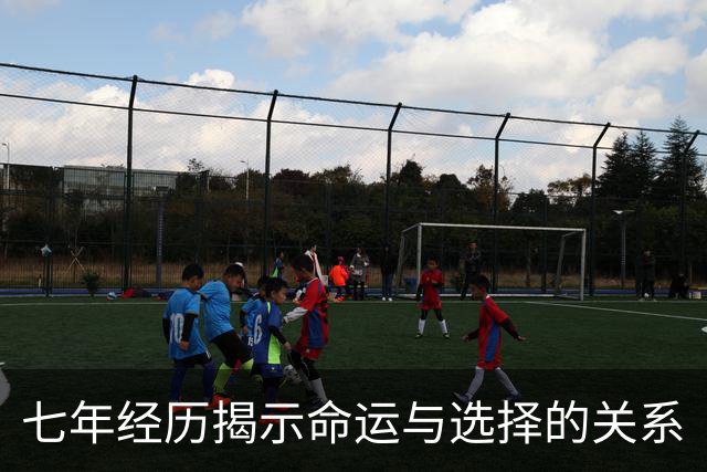 七年经历揭示命运与选择的关系