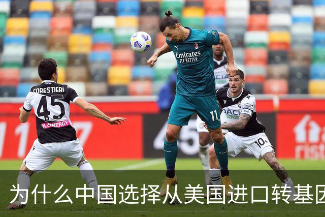 为什么中国选择从美国进口转基因大豆而非俄罗斯？