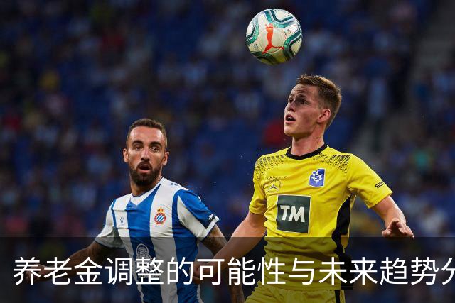 养老金调整的可能性与未来趋势分析
