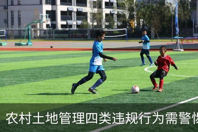 农村土地管理四类违规行为需警惕