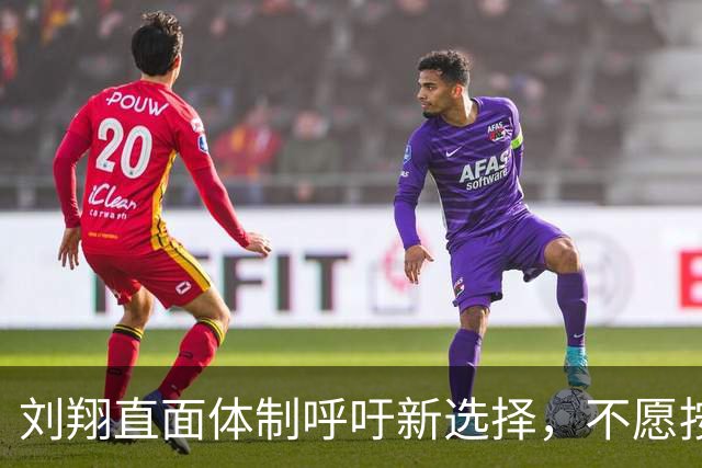 刘翔直面体制呼吁新选择，不愿按传统模式安置