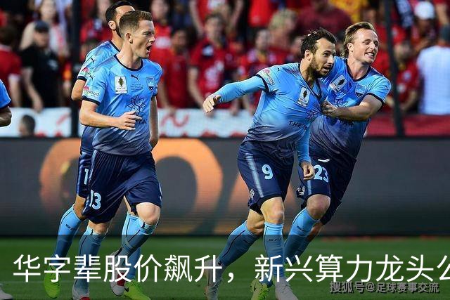华字辈股价飙升，新兴算力龙头公司吸引巨额资金