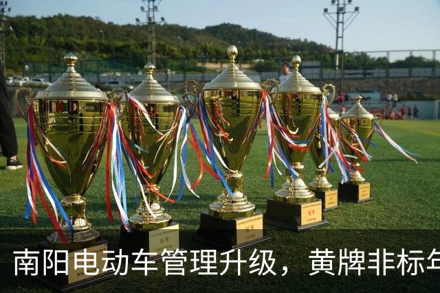 南阳电动车管理升级，黄牌非标年底禁行倒计时