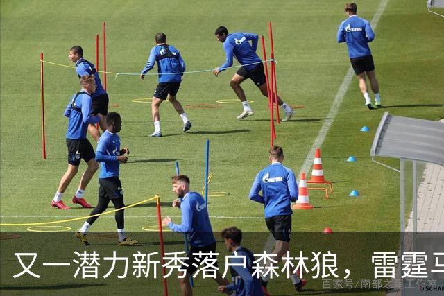 又一潜力新秀落户森林狼，雷霆马刺或将警惕