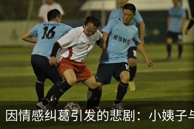 因情感纠葛引发的悲剧：小姨子与姐夫的冲突