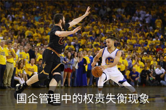 国企管理中的权责失衡现象