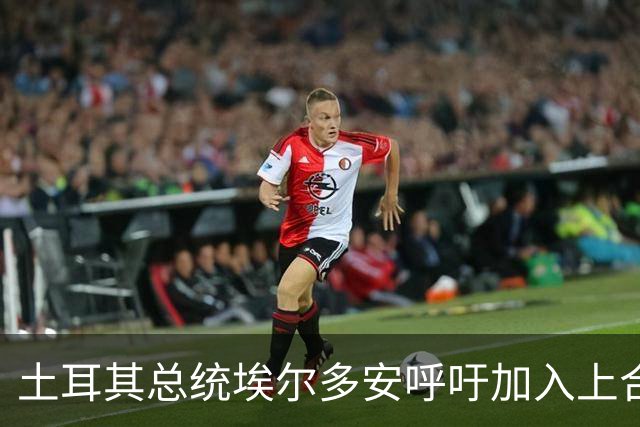 土耳其总统埃尔多安呼吁加入上合组织，展现多元外交策略