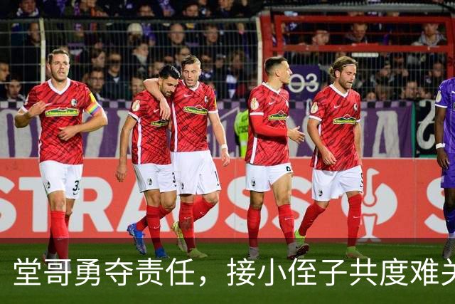 堂哥勇夺责任，接小侄子共度难关