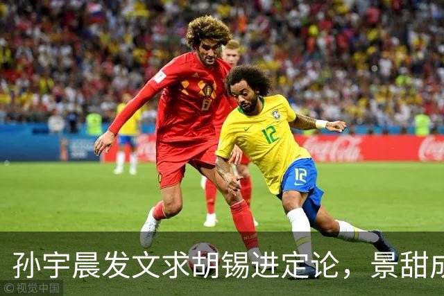 孙宇晨发文求胡锡进定论，景甜成话题焦点