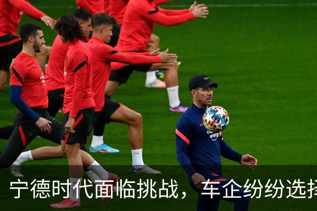 宁德时代面临挑战，车企纷纷选择自研电池