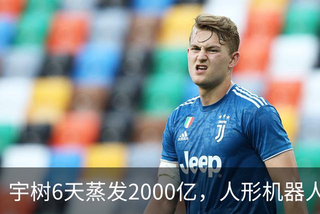 宇树6天蒸发2000亿，人形机器人泡沫显现