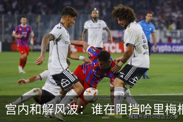 宫内和解风波：谁在阻挡哈里梅根回归？