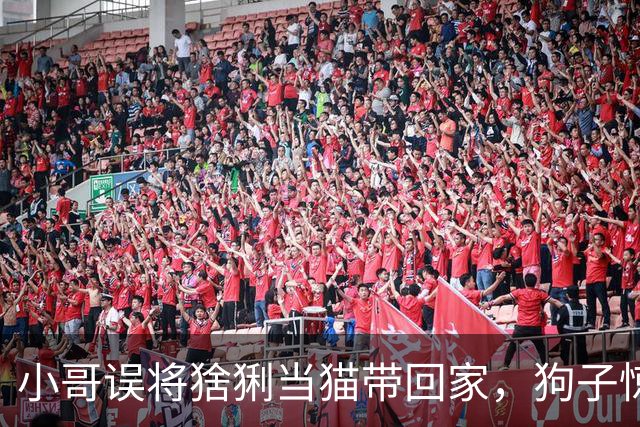 小哥误将猞猁当猫带回家，狗子惊愕不已