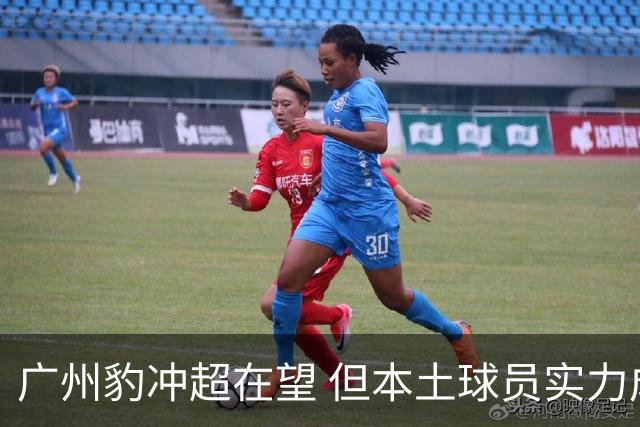 广州豹冲超在望 但本土球员实力成瓶颈