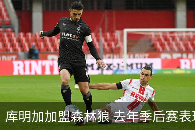 库明加加盟森林狼 去年季后赛表现抢眼