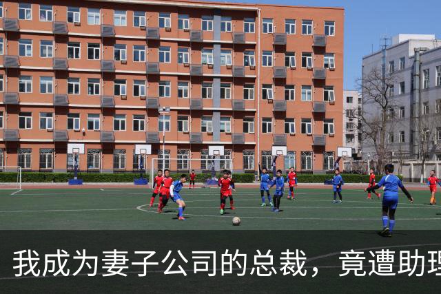 我成为妻子公司的总裁，竟遭助理当众挑衅