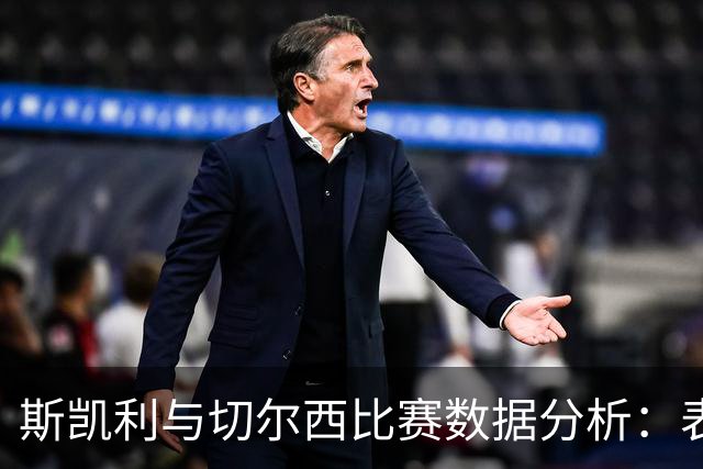 斯凯利与切尔西比赛数据分析：表现平平