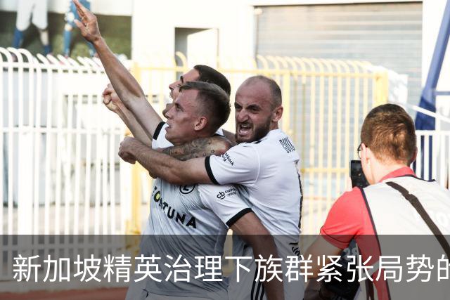 新加坡精英治理下族群紧张局势的隐忧