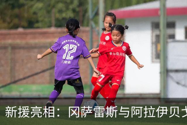 新援亮相：冈萨雷斯与阿拉伊贝戈维奇替补出场