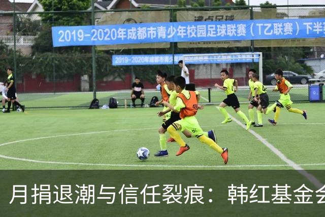 月捐退潮与信任裂痕：韩红基金会面临公开透明考验