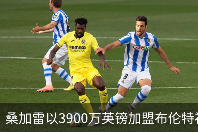 桑加雷以3900万英镑加盟布伦特福德，成队史身价纪录
