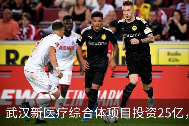 武汉新医疗综合体项目投资25亿，预计2027年完工