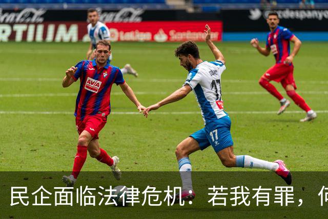 民企面临法律危机：若我有罪，何不一起追责同行？