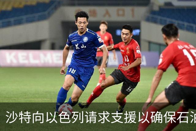 沙特向以色列请求支援以确保石油供应