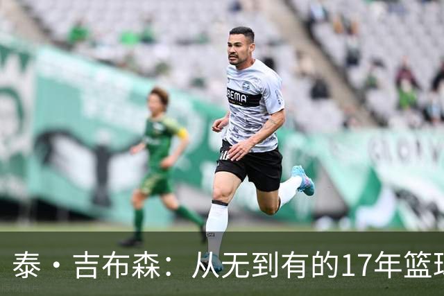 泰·吉布森：从无到有的17年篮球生涯