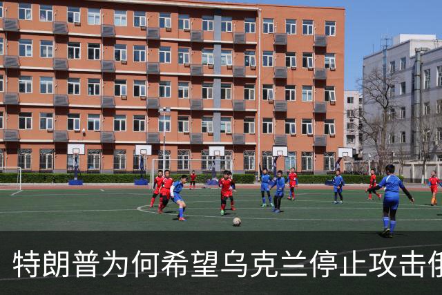 特朗普为何希望乌克兰停止攻击俄能源设施