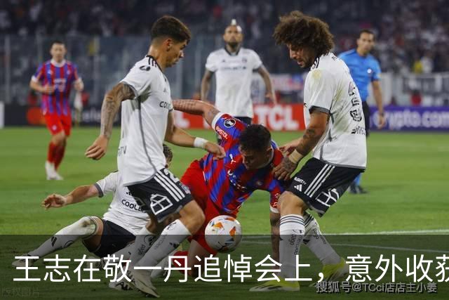 王志在敬一丹追悼会上，意外收获观众的肯定与赞誉