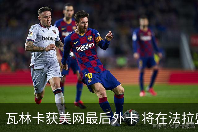 瓦林卡获美网最后外卡 将在法拉盛完成告别