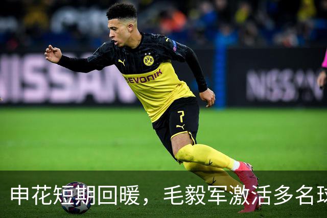申花短期回暖，毛毅军激活多名球员迎接新帅