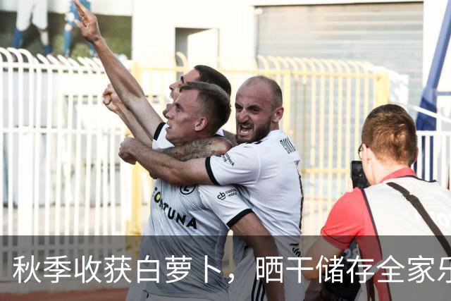 秋季收获白萝卜，晒干储存全家乐享一年