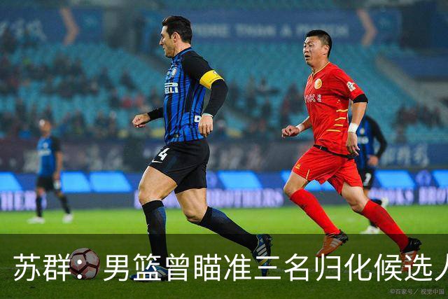 苏群：男篮曾瞄准三名归化候选人，但受外界影响被搁置