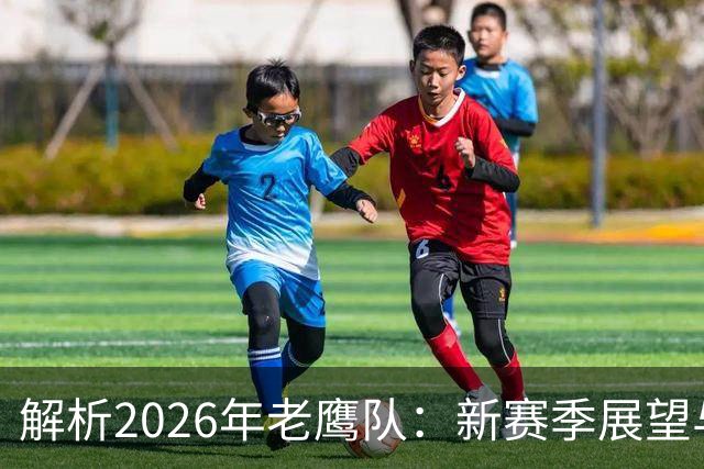 解析2026年老鹰队：新赛季展望与阵容剖析
