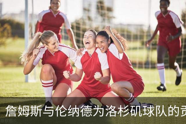 詹姆斯与伦纳德为洛杉矶球队的贡献对比
