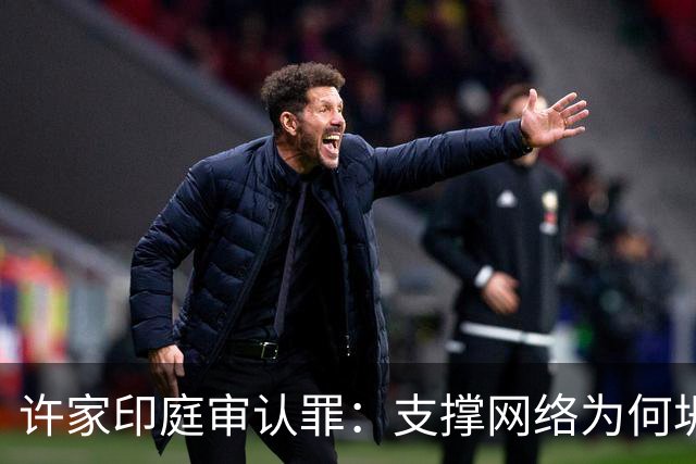 许家印庭审认罪：支撑网络为何坍塌