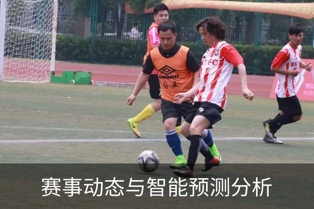 赛事动态与智能预测分析