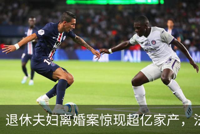退休夫妇离婚案惊现超亿家产，法官无奈转交纪委调查