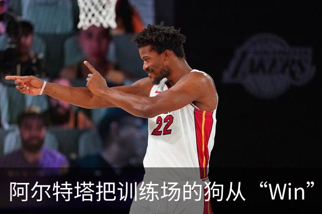 阿尔特塔把训练场的狗从“Win”改名为“Won”庆祝夺冠