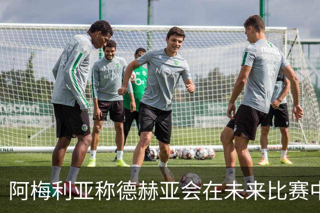 阿梅利亚称德赫亚会在未来比赛中为佛罗伦萨带来提升
