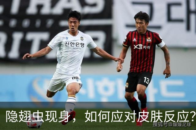 隐翅虫现身，如何应对皮肤反应？