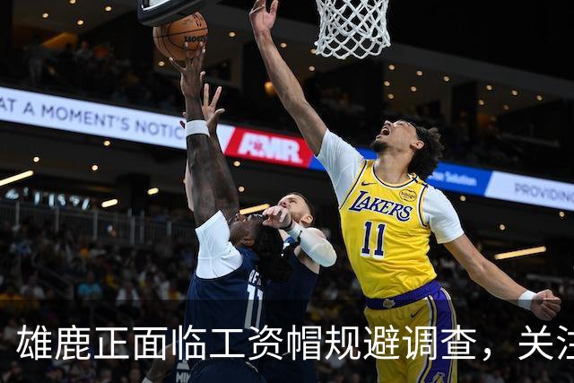 雄鹿正面临工资帽规避调查，关注度上升