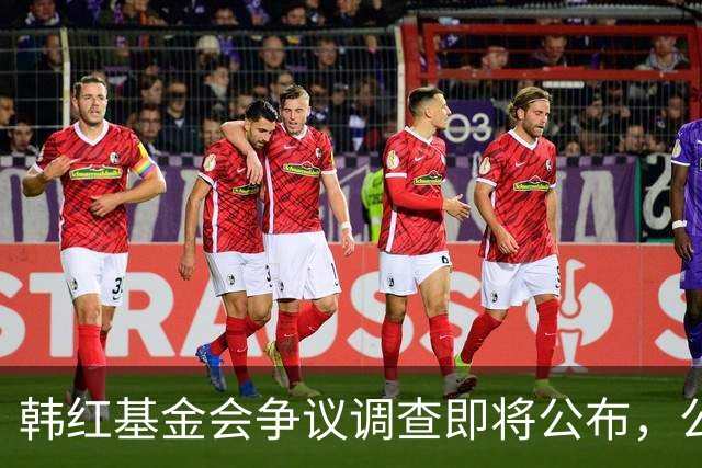 韩红基金会争议调查即将公布，公众期待透明结果