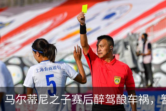 马尔蒂尼之子赛后醉驾酿车祸，暂无重伤者