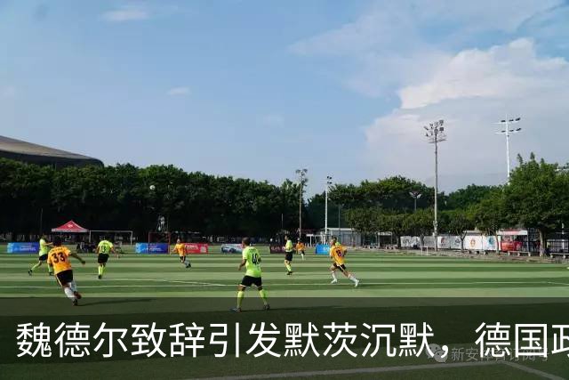 魏德尔致辞引发默茨沉默，德国政局动荡暗流频现