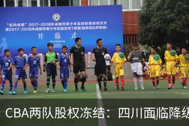 CBA两队股权冻结：四川面临降级风险，同曦经营受压